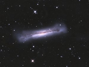 The Hamburger Galaxy